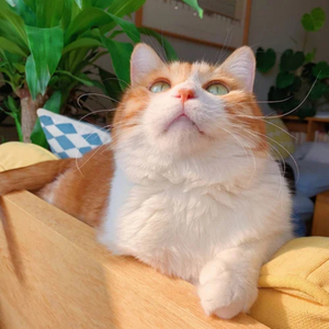 被学长抱进小树林c个爽男男视频
