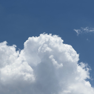 被学长抱进小树林c个爽男男视频
