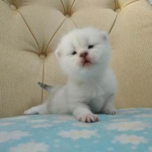 被学长抱进小树林c个爽男男视频
